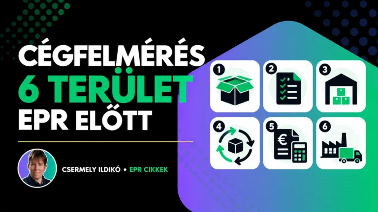 Cégfelmérés: hat terület, amelyet az EPR-rendszer előtt meg kell vizsgálni